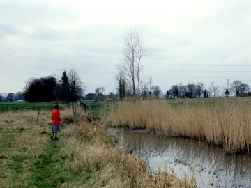 The unrestored canal at Whitminster in 1981